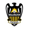 惠灵顿凤凰后备队